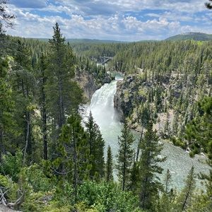 Meet your Posher, Leah